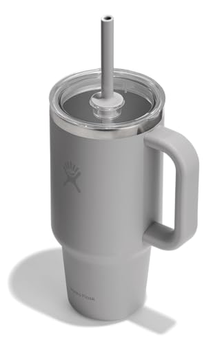 Hydro Flask Travel Tumbler with Handle, Clear Lid and Straw - Insulated Stainless Steel - color: BIRCH, size: 32 Ounces