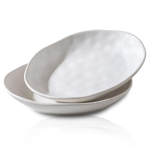 Handcrafted Ceramic Plates Set of 2, Pasta Bowls | 10'' Serving Bowls for Entertaining, Serving Dishes | Porcelain White Shallow Bowls for Salad, Soup, Pasta and Dinner Microwave/Oven/Dishwasher Safe - color: White Speckled