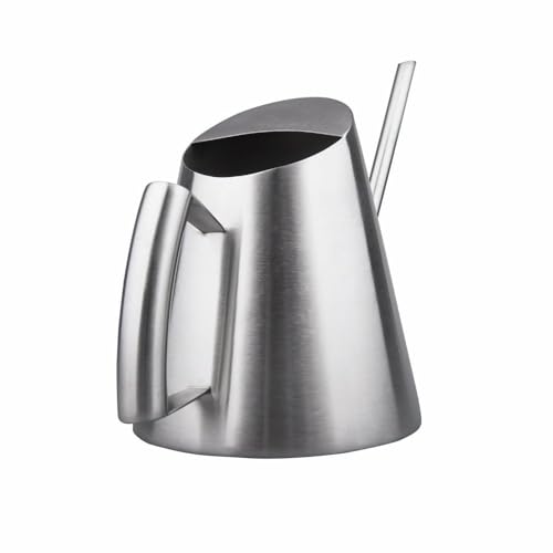 IMEEA Stainless Steel Indoor Watering Can with Long Spout Modern Watering Can for Small Indoor Plants, 50oz / 1.5L Maximum Capacity