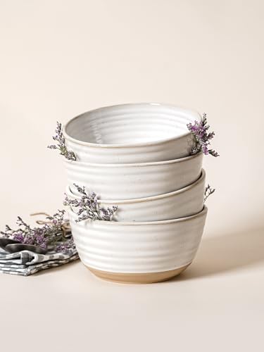 LE TAUCI Cereal Bowls Set of 4, Ceramic Soup Bowl 28 oz, Stoneware Kitchen Bowl for Pho, Chip, Fruit, Salad, Noodle, Ramen, Dishwasher Oven Microwave Safe - 6 Inch, Arctic white - size: 6 inch