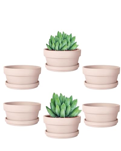 4.5 Inch Pink Terracotta Shallow Succulent Pots - 6 Pack Terra Cotta Clay Pot with Saucer, Cacuts Indoor and Outdoor Planters with Drainage Hole - color: Pink, size: 4.5 Inch