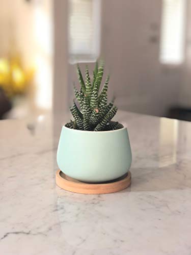 Assorted Blue Pink Yellow Round Ceramic Succulent Pots 3" Planters with Drainage | Bamboo Tray | 3 Pack - color: Pink Blue Yellow Round 3"