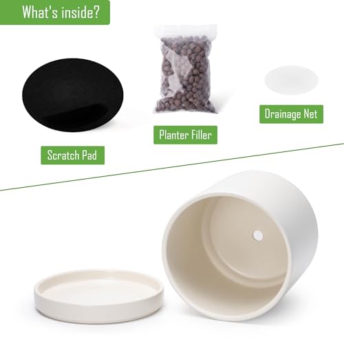 D'vine Dev 8.2 Inch Ceramic Planter Pot, Oatmeal, 94-O-D-8 | Modern Cylinder Design, Drainage Hole & Saucer Included, Stable Structure, Elegant Home Accent - color: Oatmeal, size: Medium