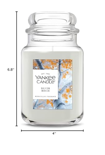 Yankee Candle Silver Birch, Holiday Scented Candle, 22oz Large Jar, Up to 150 Hour Burn Time, Giftable - color: Silver Birch, size: 22 oz
