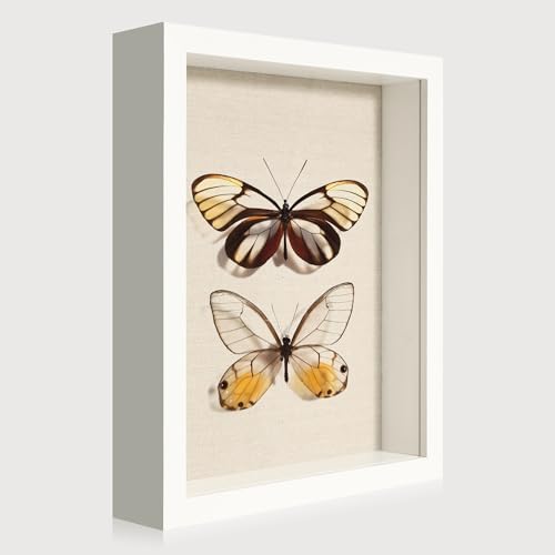8x10 Shadow Box Frame with Tempered Glass,White Wooden Memory Shadow Box Display Case with Soft Linen Back for Wall or Tabletop Display - color: White, size: 8x10