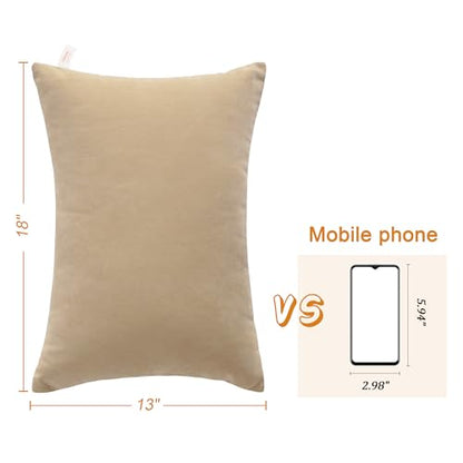 BEDSUM Toddler Pillows 13x18 Microfiber: Travel Inserts, 2 Pack, Taupe | Soft brushed microfiber, 13x18 size, 2 pillow inserts, machine washable, lightweight for daycare, travel, and home use - color: Taupe, size: 13x18 inches