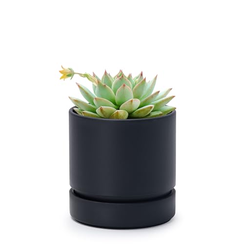 Phoenix Vine 4 Inch Planter Pot with Drainage Hole & Saucer, Deep Water Catch Tray, Straight Cylindrical Round Pot for Plants, Matte Black, Pack of 1, 23-C-R-1 - color: Matte Black, size: 4" (1 Pack)