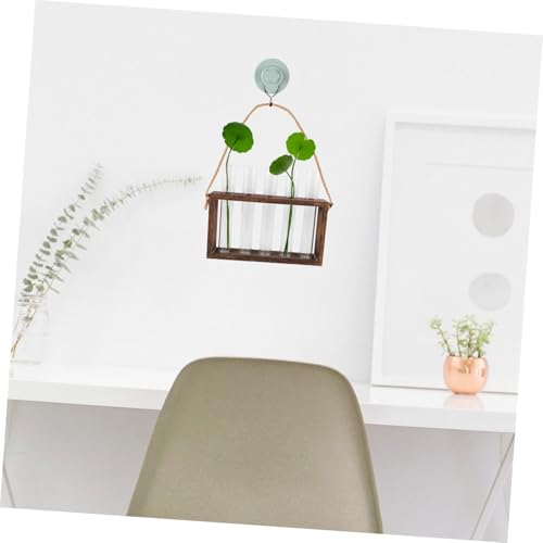 Toyvian 1 Set Wall Mounted Hydroponic Planter with Wooden Stand of Glass Test Tube Vases for Home Decoration for Plant Terrariums and Propagation Stations