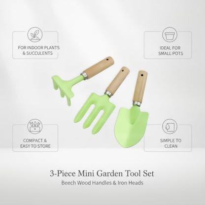 3-Piece Mini Garden Tool Set with Beech Wood Handles and Iron Heads for Indoor Plants, Succulents, and Small Pots - size: 12.6 x 4.72 x 1.57 in