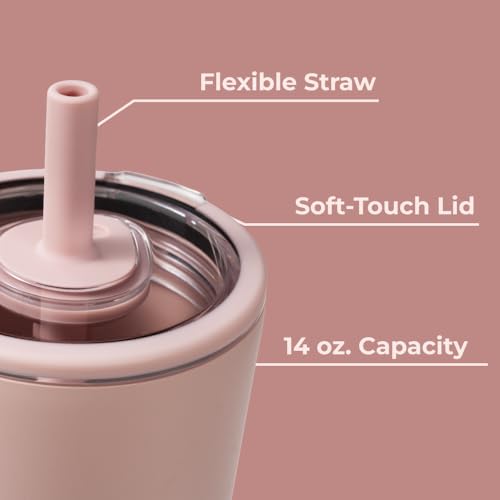 HydroJug Everyday Tumbler 14 oz, Ceramic-Lined Straw Cup, Dusty Rose - color: Dusty Rose, size: 14 Ounces