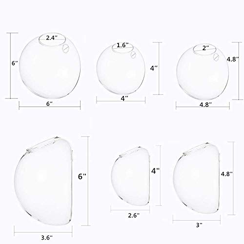 Set of 3 Wall Hanging Terrariums Indoor Plants Holders Wall Glass Vase for Flowers Planters for Succulents Air Plants Wall Mounted Decoration for Sunroom Living Room