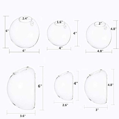 Set of 3 Wall Hanging Terrariums Indoor Plants Holders Wall Glass Vase for Flowers Planters for Succulents Air Plants Wall Mounted Decoration for Sunroom Living Room