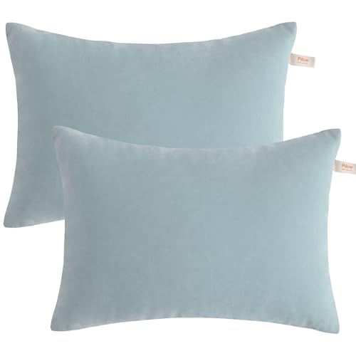 BEDSUM Toddler Pillows 13x18 Microfiber: Travel Inserts, 2 Pack, Sea Green | Soft brushed microfiber, 13x18 size, 2 pillow inserts, machine washable, lightweight for daycare, travel, and home use - color: Sea Green, size: 13x18 inches