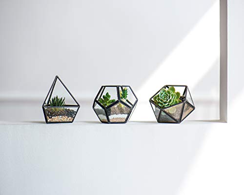 Mkono 3 Pack Geometric Glass Terrarium, 4" Black Air Plant Holder Tabletop | Modern Centerpiece Decor, 3 Shapes Metal Frame, Fits Succulent Moss Fairy Garden Shelf Coffee Table, Plants Not Included - color: Black