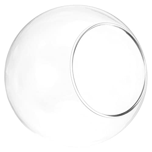 PATIKIL Round Globe Terrarium Air Plant Planter, 4 Inch Clear | High Borosilicate Glass, Table Decorations, for Succulent, Tillandsia - size: 4 Inch