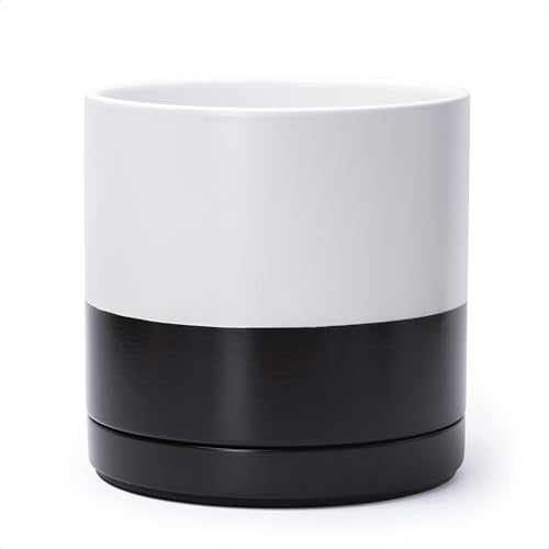 D'vine Dev 10 Inch Ceramic Planter Pot, Black White Two Tone, 94-O-E-L | Modern Cylinder Design, Drainage Hole & Saucer Included, Stable Structure, Elegant Home Accent - color: Layered Monochrome Black & White, size: Large