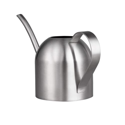 IMEEA Indoor Watering Can for House Plants 33oz/1L Brushed Stainless Steel Watering Can with Long Spout for Succulents, Bonsai - color: 33oz (Silver)