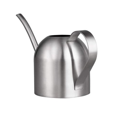 IMEEA Indoor Watering Can for House Plants 33oz/1L Brushed Stainless Steel Watering Can with Long Spout for Succulents, Bonsai - color: 33oz (Silver)