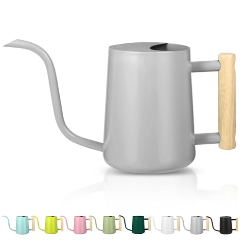Watering Can Indoor Plants, 35oz Small Indoor Stainless Steel Metal Watering Can Modern Decorative Watering Pot with Long Spout for Indoor House Plant Bonsai Garden Flowers (Gray) - color: Gray