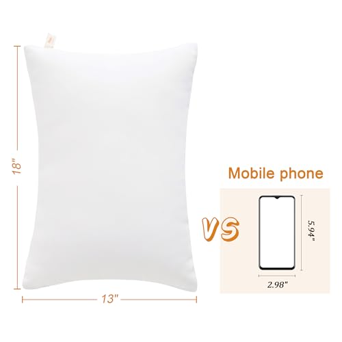 BEDSUM Toddler Pillows 13x18 Microfiber: Travel Inserts, 2 Pack, White | Soft brushed microfiber, 13x18 size, 2 pillow inserts, machine washable, lightweight for daycare, travel, and home use - color: White, size: 13x18 inches