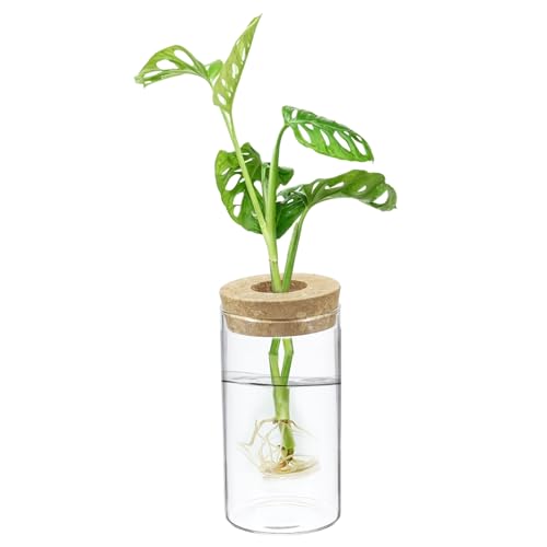 M METERXITY 1 Pack Glass Planter Terrarium with Wooden Cover, Desktop Plant Propagation Station Clear Vase for Hydroponic Plants Propagation/Home Garden Decor/Plant Lover [2.56'' x 4.72''] - size: 2.56'' x 4.72''