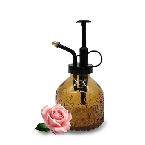 Glass Plant Mister Spray Bottle, 200ML Vintage Plant Spritzer, Succulent Watering Bottle Glass with Top Pump, Small Plants Sprayer Watering Can for Indoor Outdoor House(All Brown) - color: All Brown