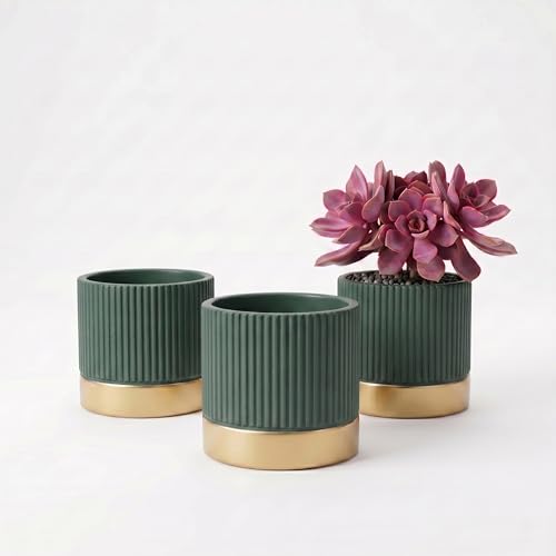 3-Pcs 4 Inch Cement Planters Set - Vintage Ribbed Flower Pots with Gold Rim and Drainage Holes, Modern Ceramic Succulent Pots, Small Plant Containers for Home, Office, Desk Decor - color: Green