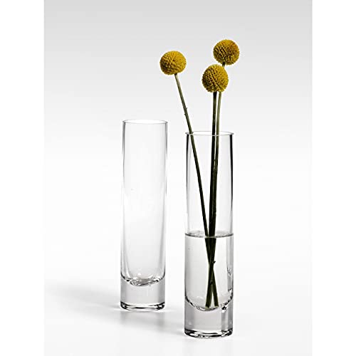 Serene Spaces Living Clear Glass Bud Vases, Set of 4, Perfect for Floral Arrangements at Home, Weddings, Parties, Measures 7.5" Tall & 1.75" Diameter - size: Medium - Set of 4