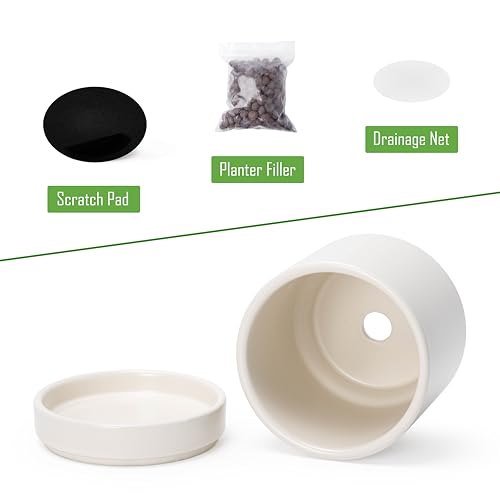 D'vine Dev 4-Pack Ceramic Pots with Saucers, Oatmeal, 4.7 in, 94-X-B-8 | Glazed Ceramic, Drainage Hole and Saucer, Sleek Cylinder Shape, High Temperature Fired, Ideal for Small Houseplants - color: Oatmeal, size: 4.7 Inch