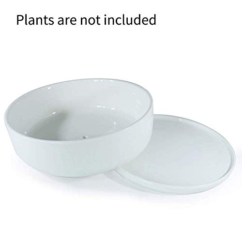 SQOWL 8 inch White Round Ceramic Succulent Planter Pot Modern Flower Cactus herb Big Planter with Removable Saucer Indoor or Outdoor - color: White