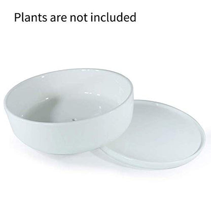 SQOWL 8 inch White Round Ceramic Succulent Planter Pot Modern Flower Cactus herb Big Planter with Removable Saucer Indoor or Outdoor - color: White