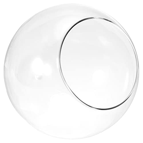 PATIKIL Round Globe Terrarium Air Plant Planter, 6.3 Inch High Borosilicate Glass Table Decorations for Succulent, Tillandsia, Clear | High Borosilicate Glass, Table Decorations, for Succulent, Tillandsia - size: 6.3 Inch