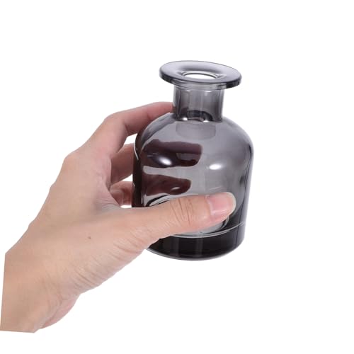 Didiseaon 2pcs Glass Diffuser Bottles Containers for Home and Car Stylish Cylindrical Design Durable and Easy to Clean for Scent Diffusion - color: Blue