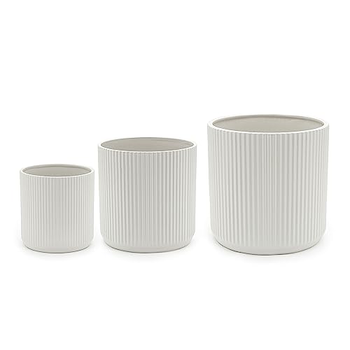 Amazon Basics Fluted Ceramic Planters for Indoor Outdoor Plants, Round Flower Pots with Drainage Hole, Set of 3, 6 inch, 8 inch, 10 inch, White - color: White, size: 6 inch, 8 inch, 10 inch