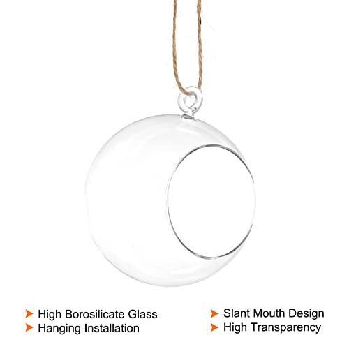 PATIKIL Round Globe Terrarium Air Plant Planter, 4 Inch High Borosilicate Glass Hanging Decorations for Succulent, Tillandsia, Clear - size: 4 Inch