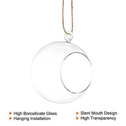 PATIKIL Round Globe Terrarium Air Plant Planter, 4 Inch High Borosilicate Glass Hanging Decorations for Succulent, Tillandsia, Clear - size: 4 Inch