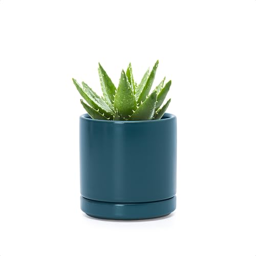 D'vine Dev 3.5 Inch Ceramic Planter Pot, Teal, 94-O-A-9 | Modern Cylinder Design, Drainage Hole & Saucer Included, Stable Structure, Elegant Home Accent - color: Teal, size: XX-Small