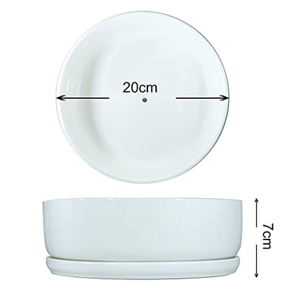 SQOWL 8 inch White Round Ceramic Succulent Planter Pot Modern Flower Cactus herb Big Planter with Removable Saucer Indoor or Outdoor - color: White