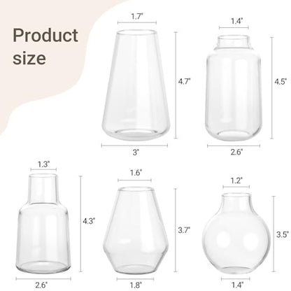 Mkono Propagation Station Wall Planter Hanging Glass Tubes Flower Vase Set