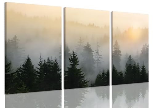 Bwodke Misty Forest Mountain Canvas Wall Art Set of 3, 12x16 inch | Nature Landscape Wall Decor, Misty Forest Mountain Prints, Living Room Bedroom Office Art - color: Misty Forest Canvas, size: 12"x16"