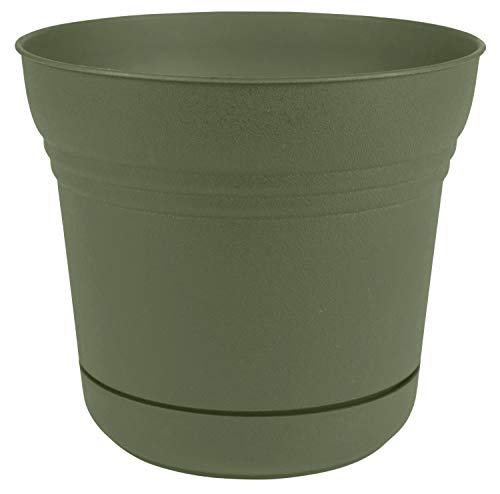 Bloem SP0542 Saturn Planter w/Saucer 5" Living Green, 5" - color: Living Green, size: 5"