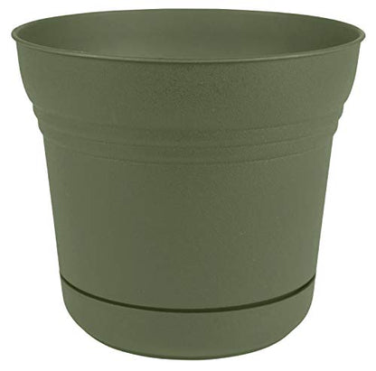 Bloem SP0542 Saturn Planter w/Saucer 5" Living Green, 5" - color: Living Green, size: 5"