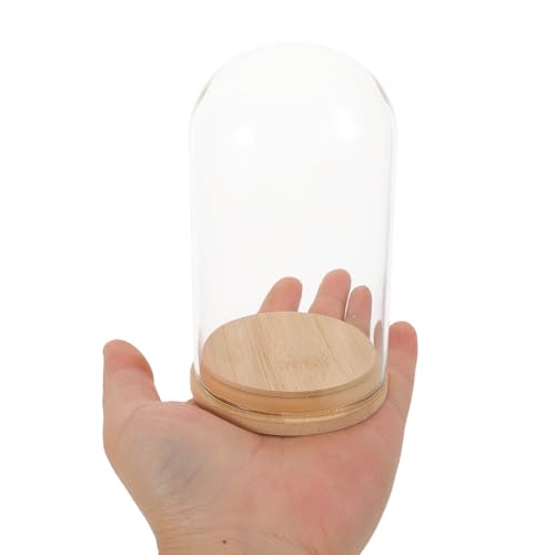 NUOBESTY Glass Cloche with Base Desk Terrarium for Office Hydroponic Vase for Propagation Clear Display Dome for Indoor Plants Tabletop Succulent Planter 4.72 X 2.75 X 2.75 in