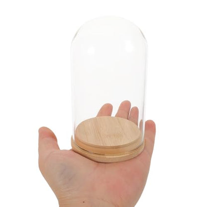 NUOBESTY Glass Cloche with Base Desk Terrarium for Office Hydroponic Vase for Propagation Clear Display Dome for Indoor Plants Tabletop Succulent Planter 4.72 X 2.75 X 2.75 in