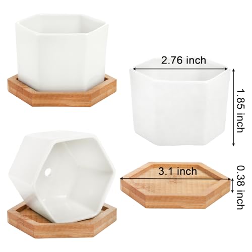 Foraineam 10 Pack Mini Succulent Plant Pots, 2.76 inch Hexagonal White Ceramic Succulent Cactus Planters with Bamboo Tray