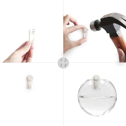 Wall Hanging Propagation Station 6 Pack Oblate Glass Hydroponic Plant Vases | Decorative Wall Mount Planter Vases for Home Bathroom Office, Perfect Housewarming Gift ﻿