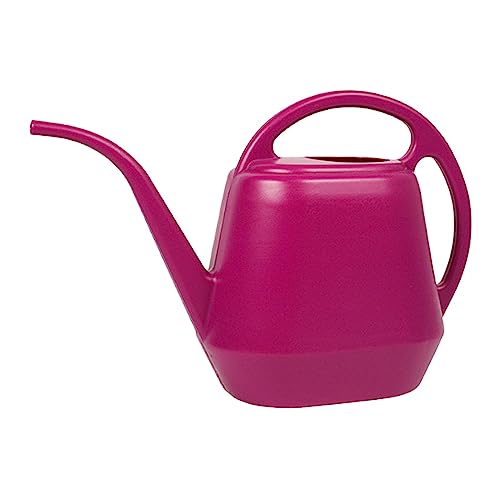 1 Gallon Watering Can Indoor Plants, 2026 Long Spout Large Capacity Modern Plastic Watering Can with Ergonomic Handle,Outdoor Watering Can for Flower Plants House Bonsai Garden Patio Office - color: E