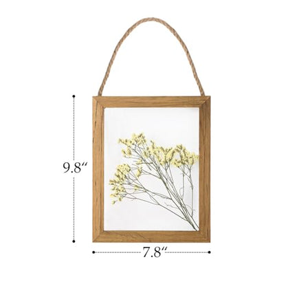 NIKKY HOME Dried Flowers Grass Wall Art Set of 2 Natural Plant Artwork with Clear Glass Display Frame and Jute Rope Gallery Wall Decor Living Room Decor