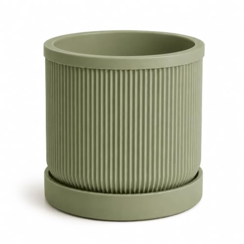 DBOZE Modern Ribbed Planter with Drainage Tray, Indoor Plant Pot for Succulents, Herbs & Houseplants, Minimalist Decorative Flower Pot for Home Office Living Room Decor,