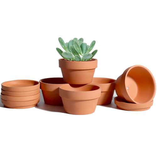 3.7 Inch Terracotta Shallow Succulent Pots - 6 Pack Terra Cotta Clay Pot with Saucer, Cacuts Indoor and Outdoor Planters with Drainage Hole - color: Brown, size: 3.7 Inch